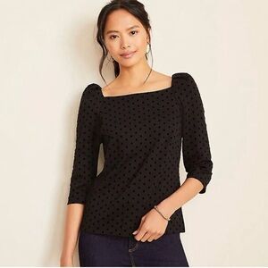 Ann Taylor black flocked polka dot top petite large LP